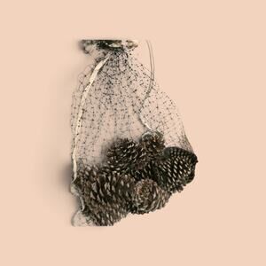 20 Longleaf Pinecone for Crafting Home Decor 2"-4" Tall 1.5"-2.5" Diameter Bag